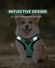 FAYOGOO correas reflectivas para caminatas nocturnas más seguras.