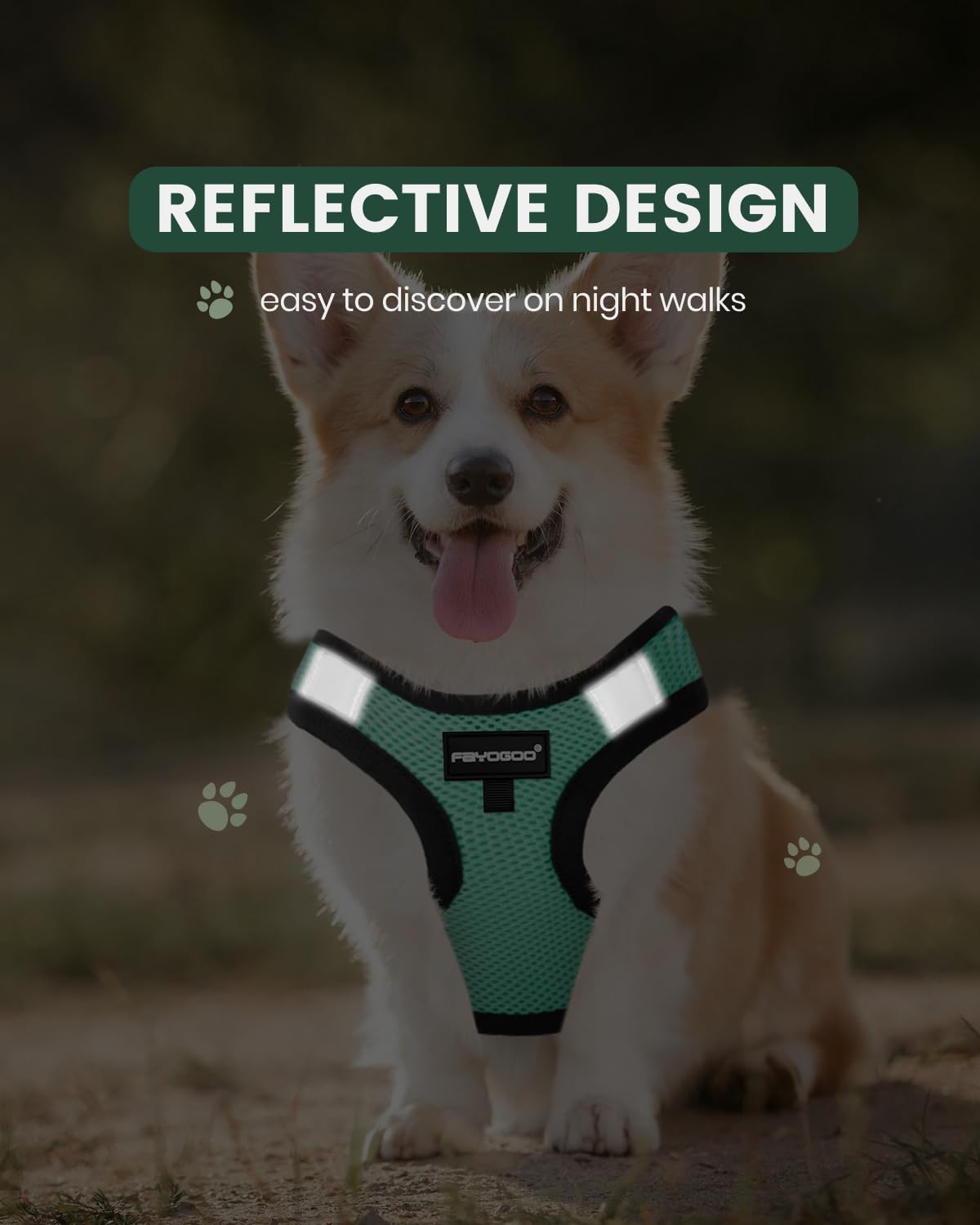 FAYOGOO harness with reflective straps enhances night safety during walks.