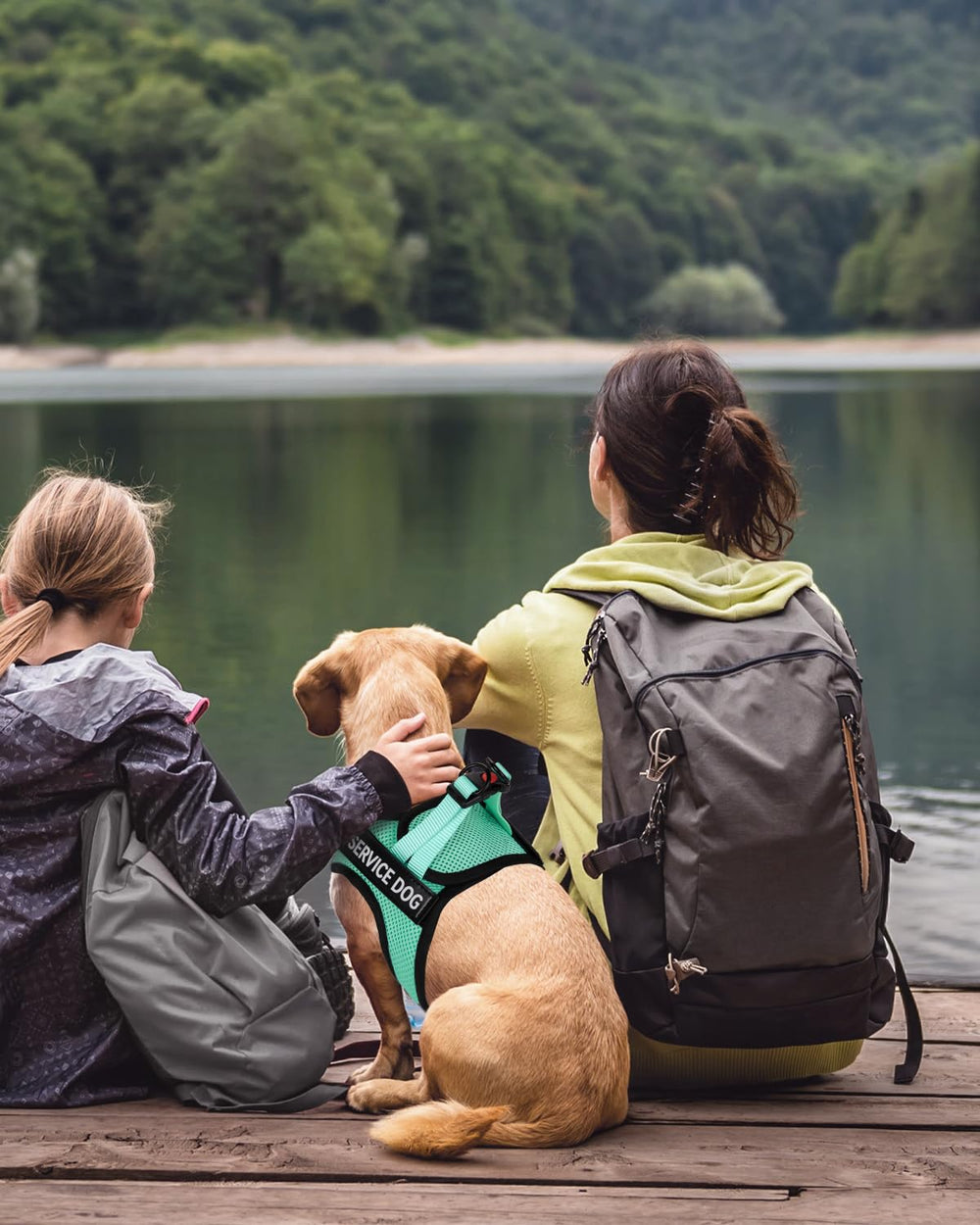 FAYOGOO harness size chart helps find the right fit for small dogs.