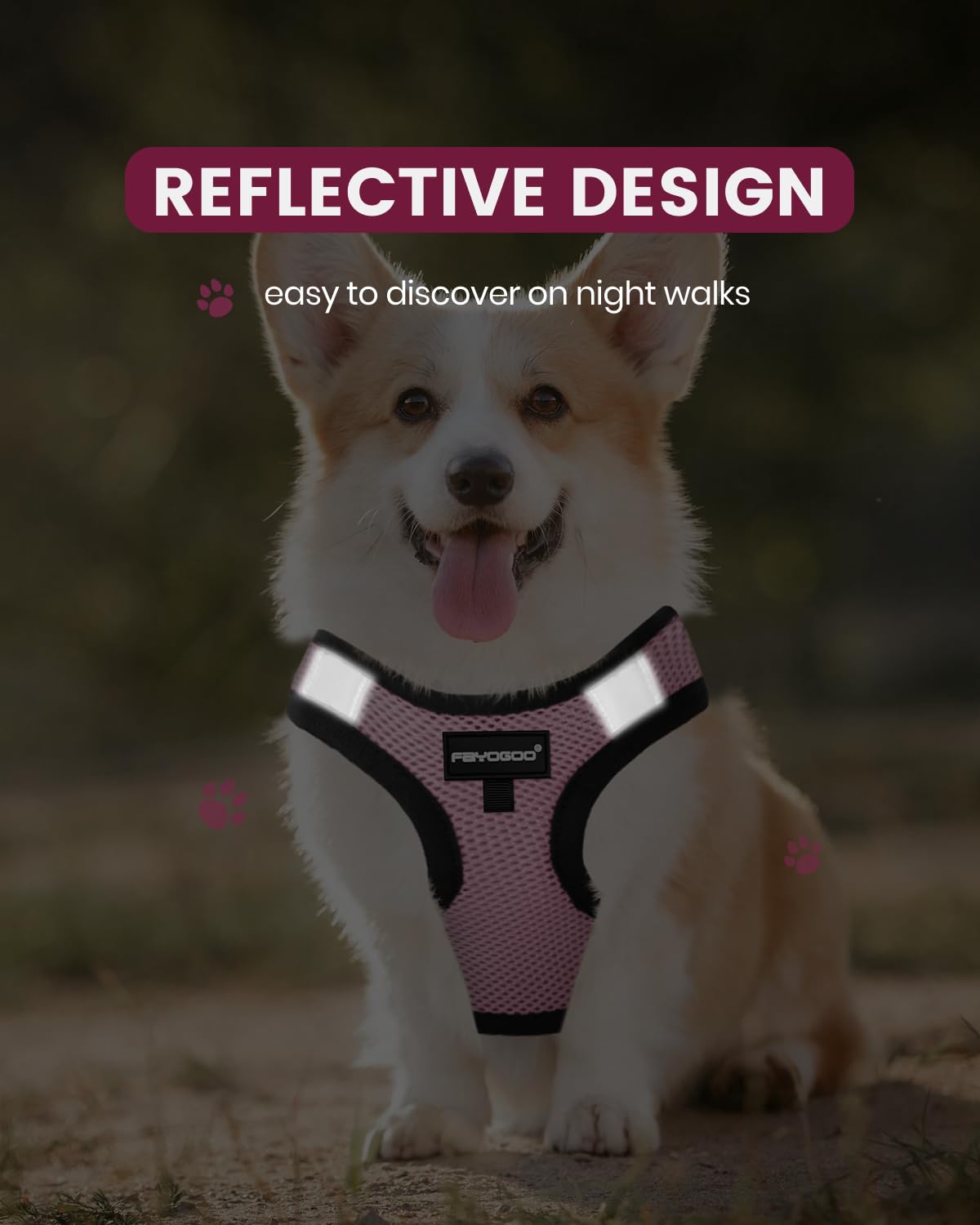 FAYOGOO reflective straps provide nighttime visibility for safer evening walks.
