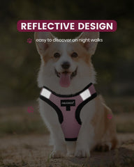 FAYOGOO reflective straps provide nighttime visibility for safer evening walks.