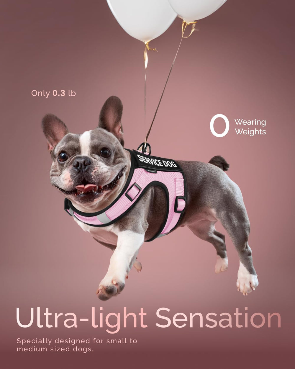 FAYOGOO service dog vest close-up highlights escape-proof quick-wear design.