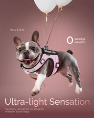 FAYOGOO service dog vest close-up highlights escape-proof quick-wear design.
