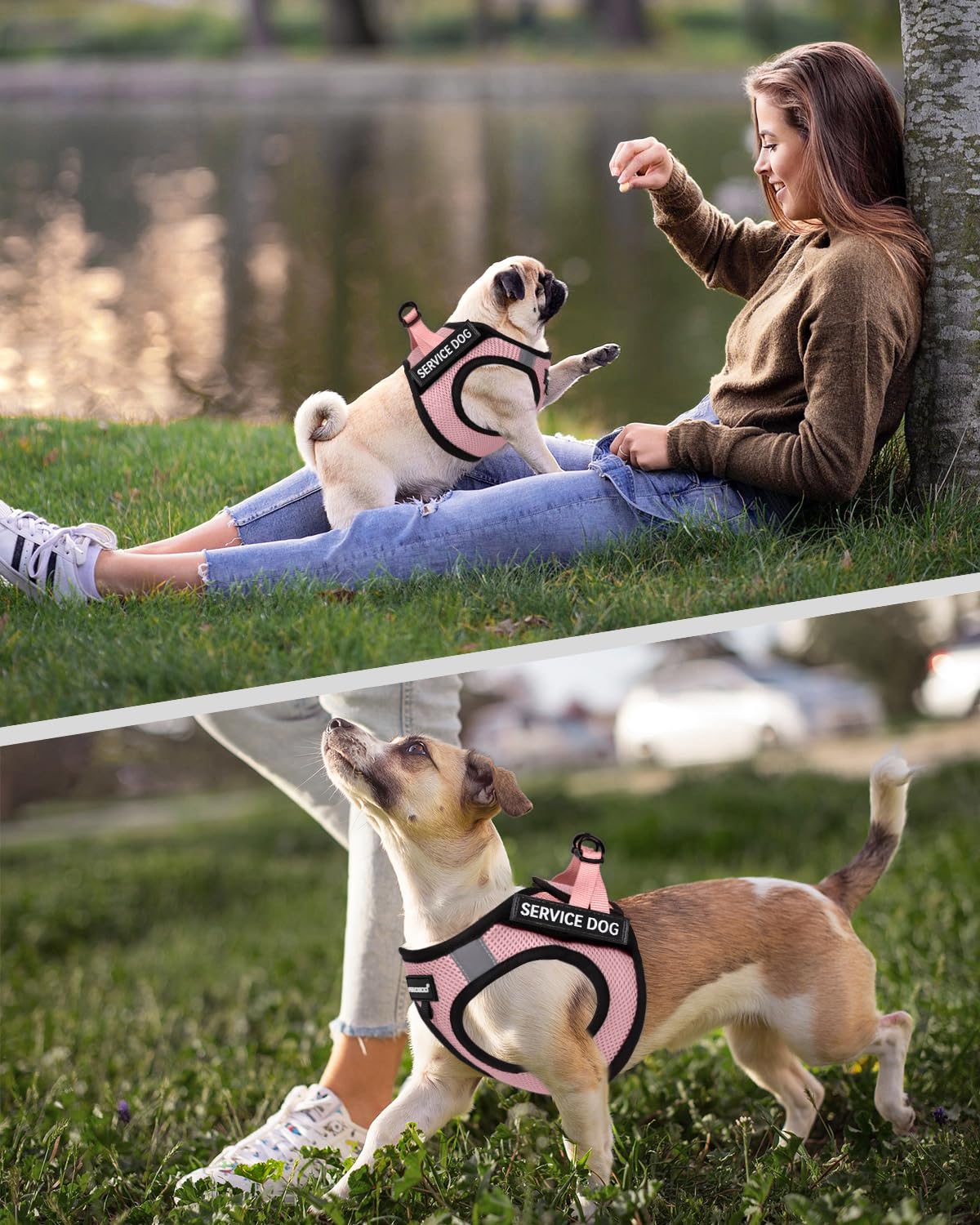 FAYOGOO lightweight harness minimizes bulk while maintaining a sturdy fit for small dogs
