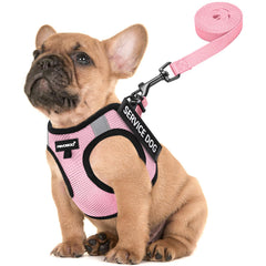 FAYOGOO service dog vest for small breed features breathable mesh for comfortable daily walks