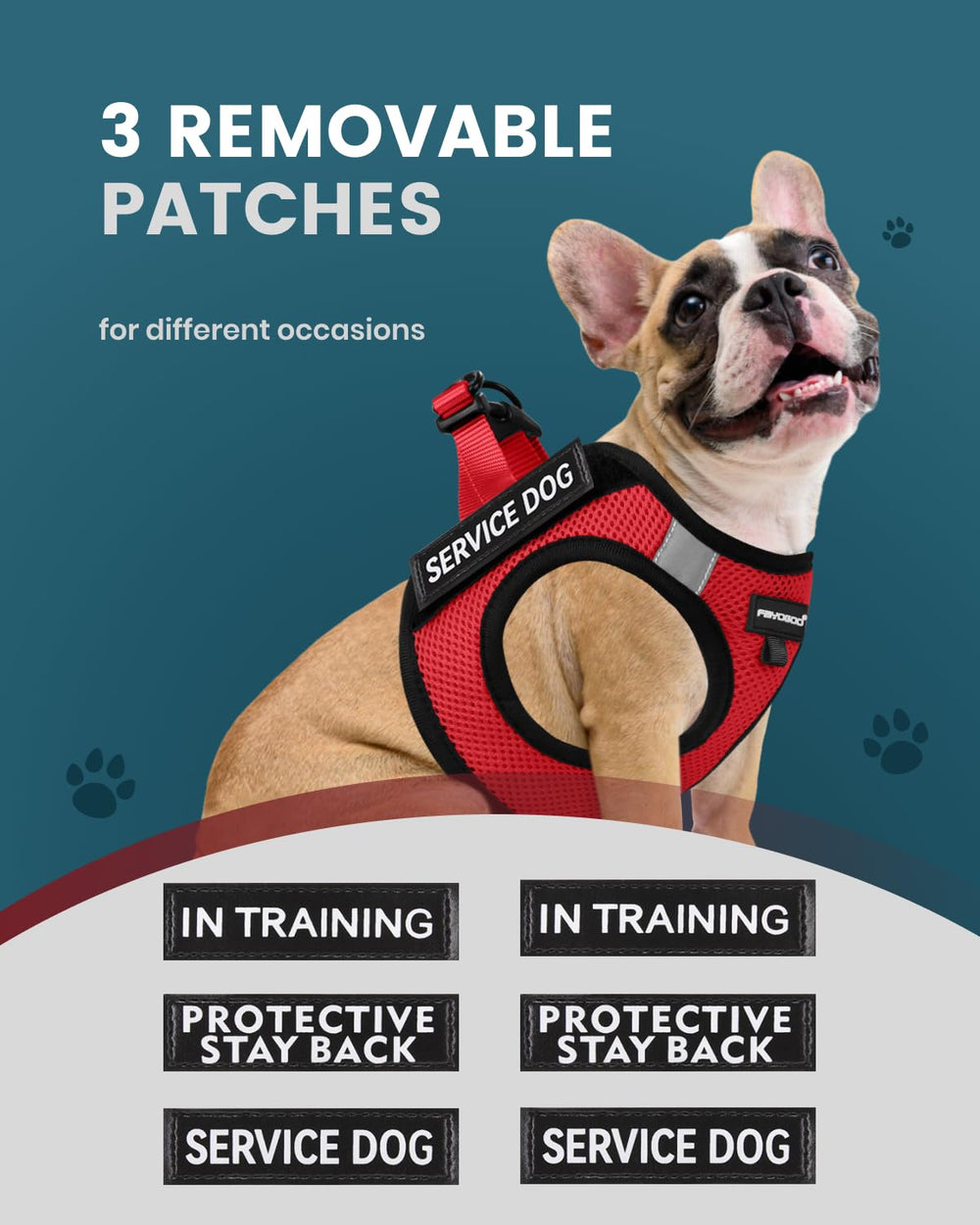 FAYOGOO service dog vest back view highlights secure buckle and snug fit