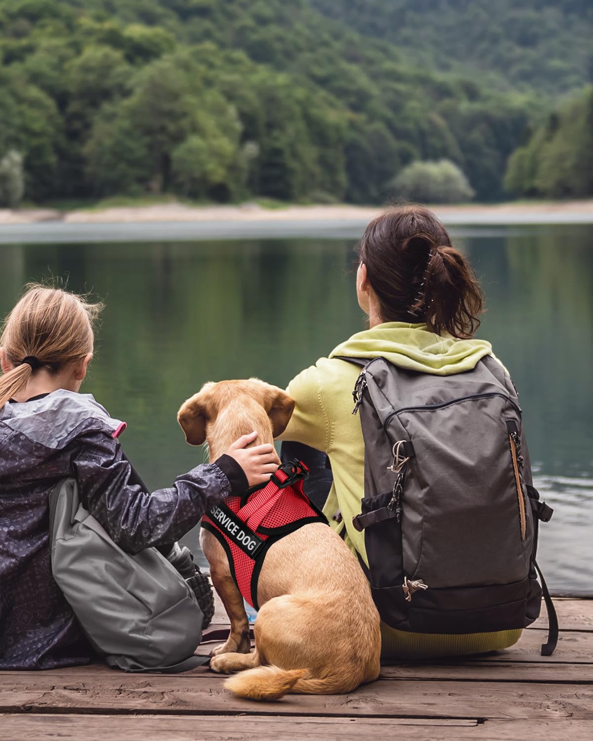 FAYOGOO size chart image helps choose XS to M for small dogs