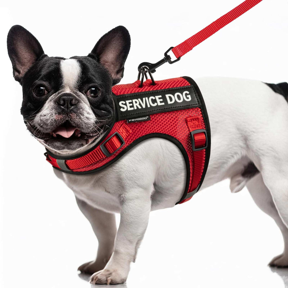 FAYOGOO service dog vest air mesh for small dogs keeps pets cool on walks.