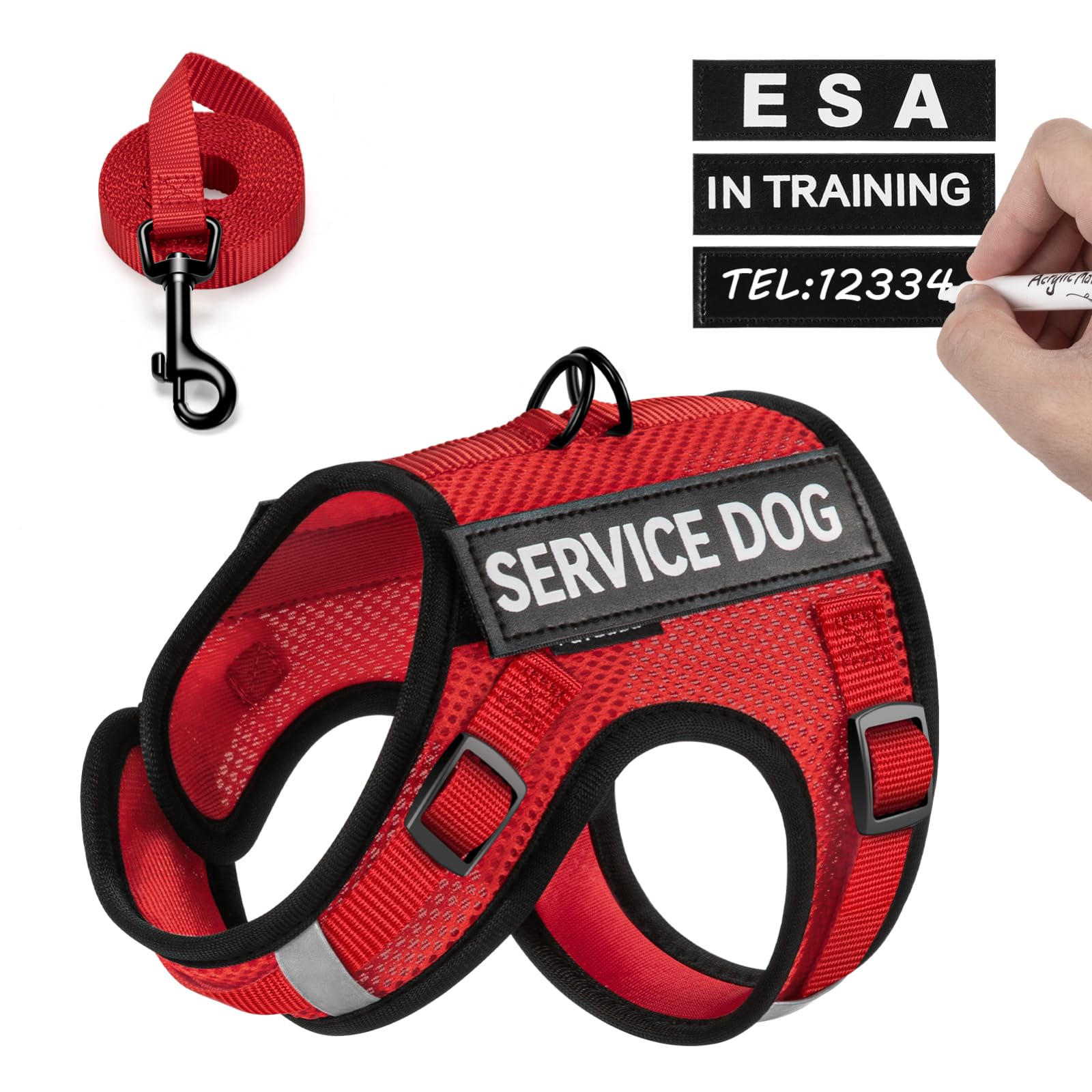 FAYOGOO all-season comfort vest for year-round training and walks.