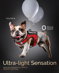 FAYOGOO no-pull design vest reduces strain for gentle leash training sessions.