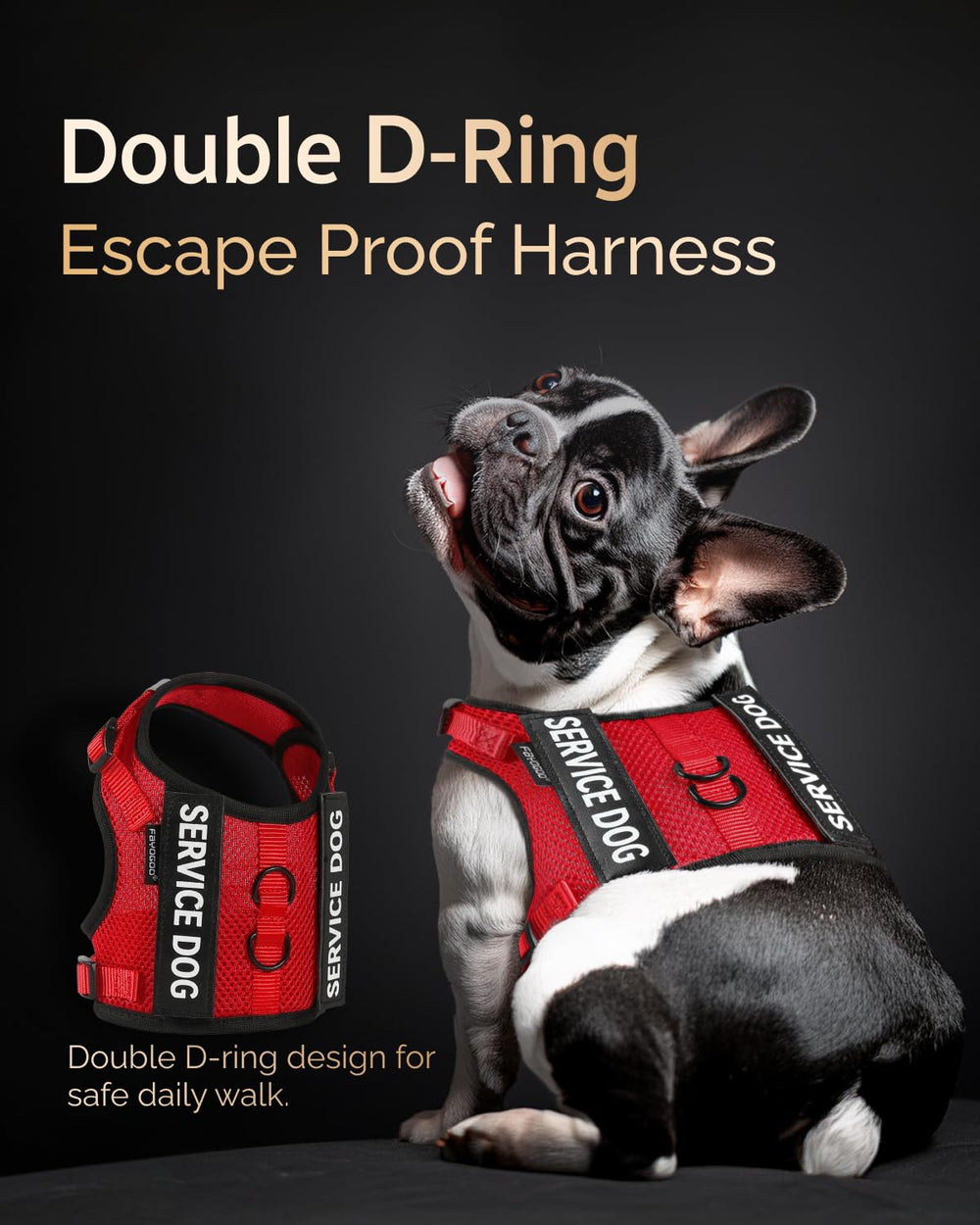 FAYOGOO small-breed sizes offer precise, comfy fit from XXS to XXL.