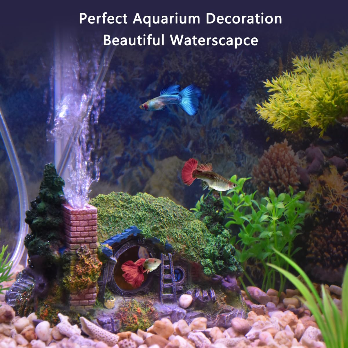 Fazhongfa castle-hobbit-small hollow interior invites playful aquarium activity.