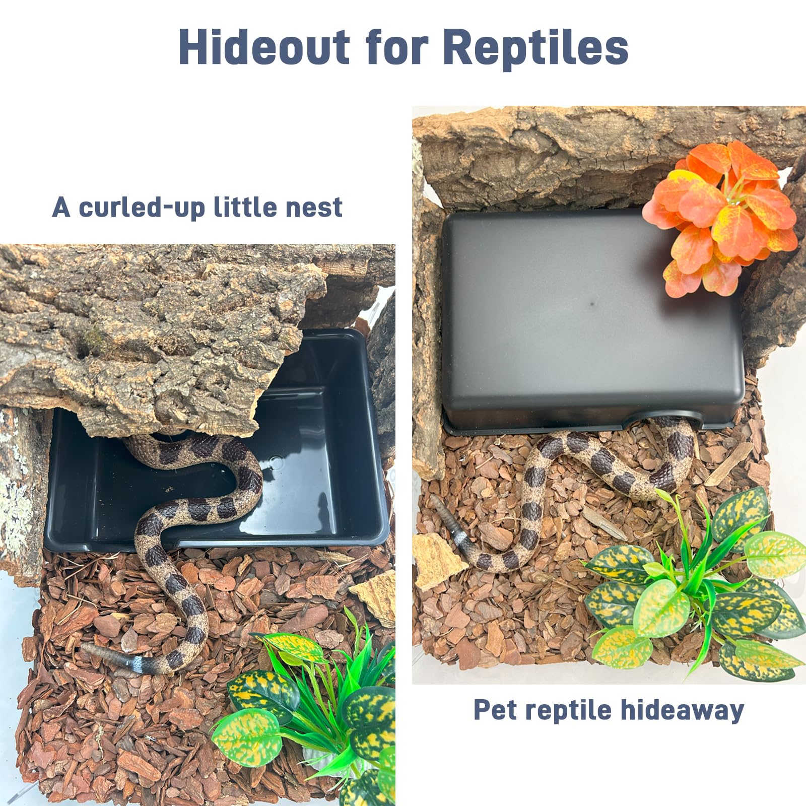 FCALIVV humid hideout cave small front view—ideal for hatchlings in cozy hides.