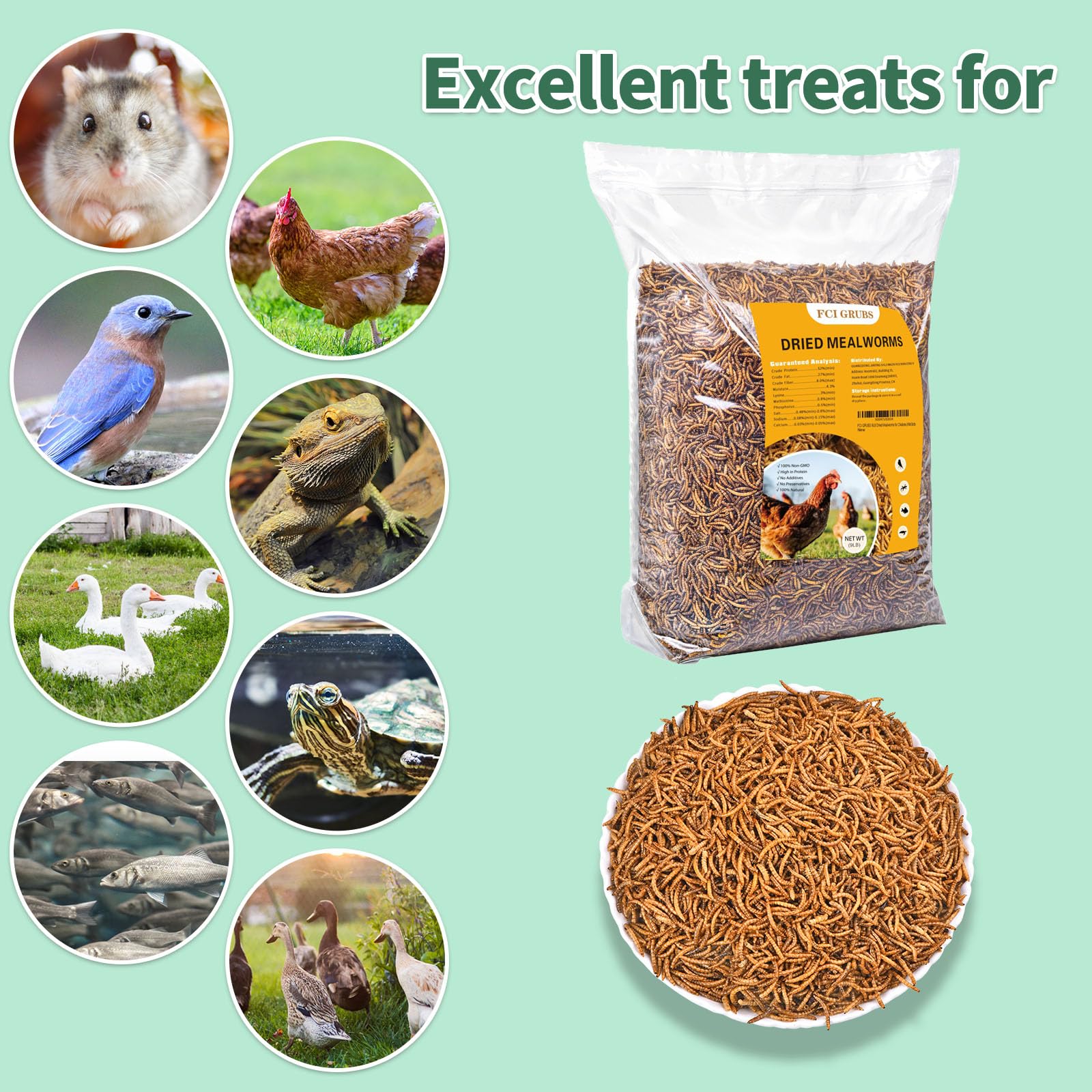 FCI GRUBS dried mealworms promote healthy feather growth in birds.