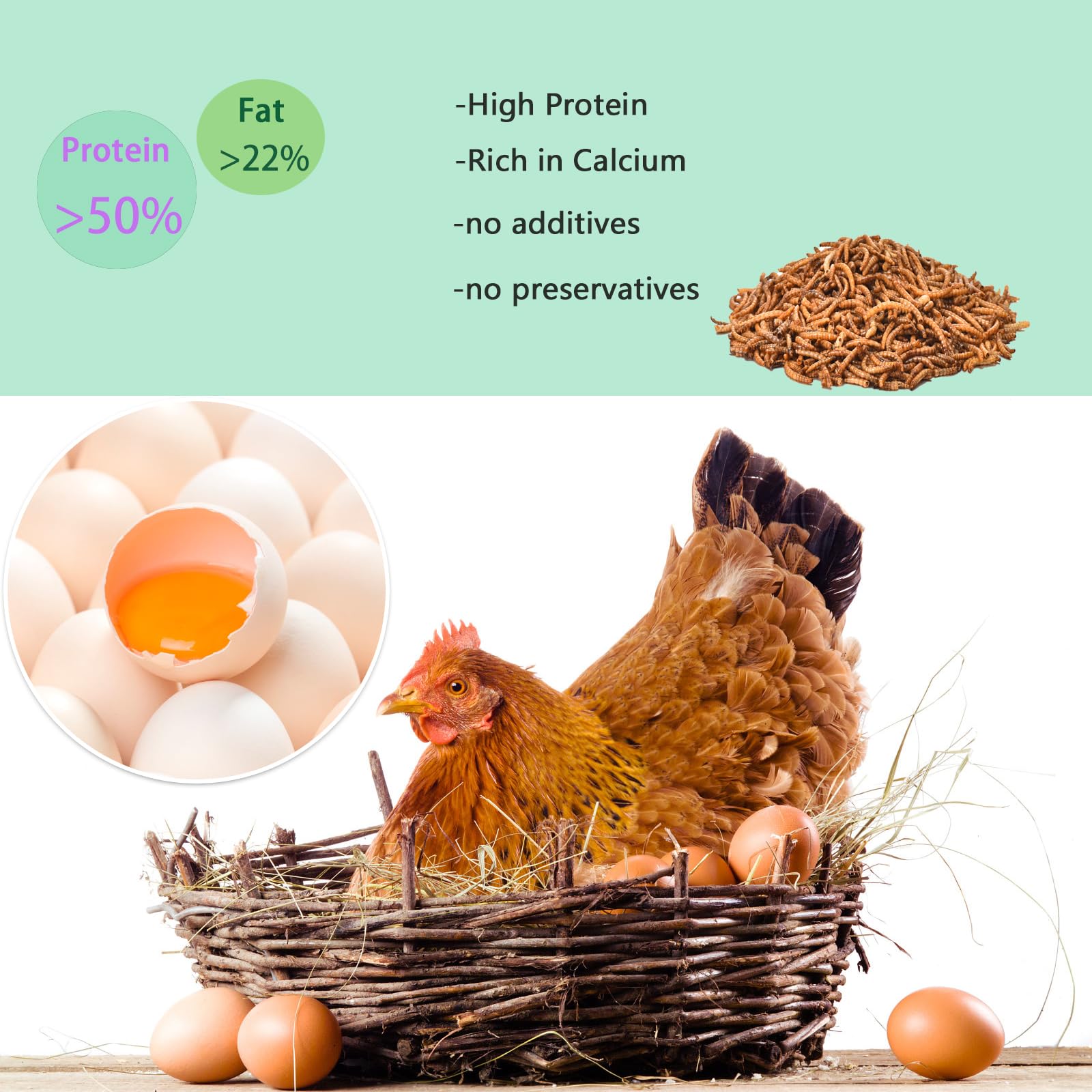 FCI GRUBS dried mealworms suited for wild birds' nutrition.