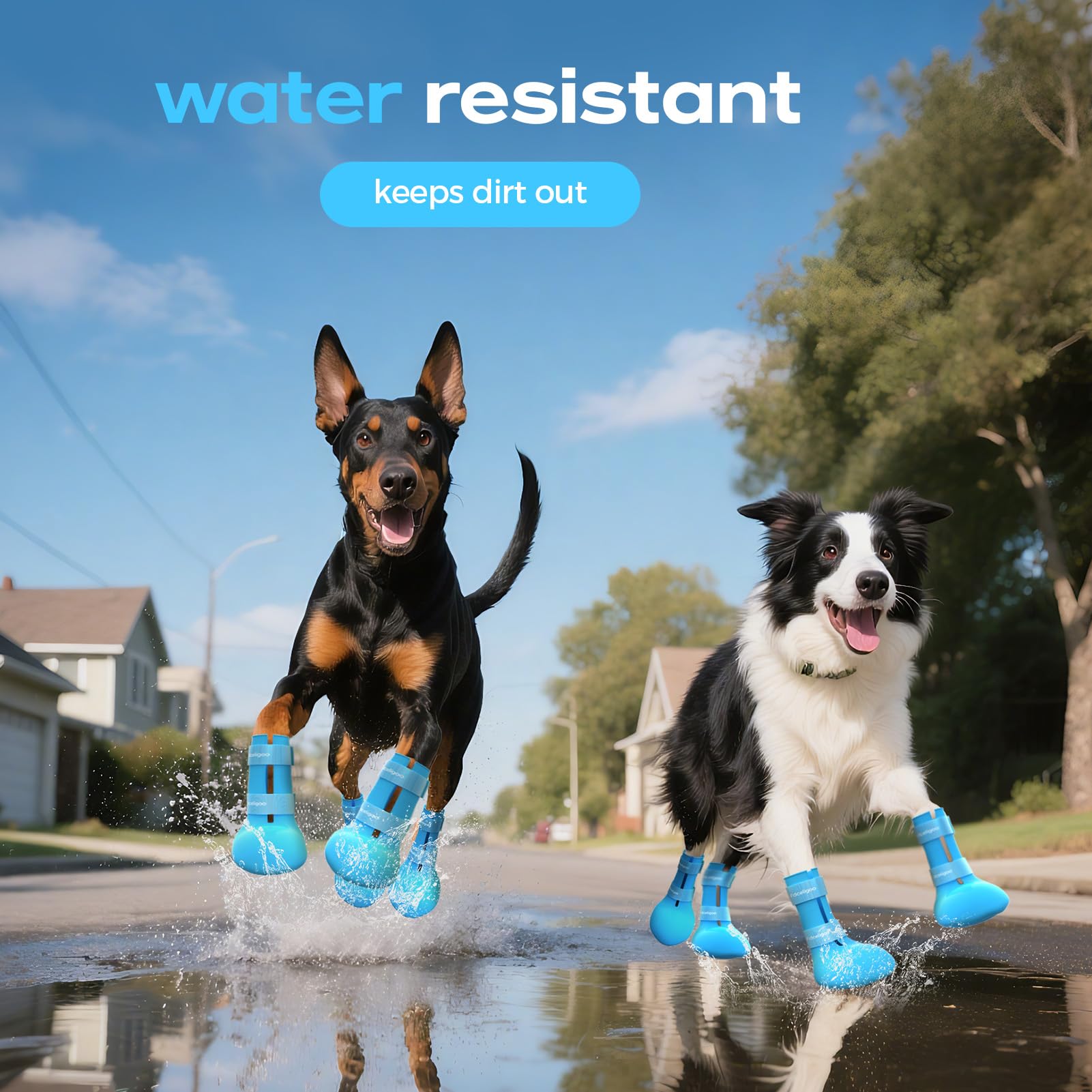 Fdceligoo waterproof boots keep paws dry in wet weather.