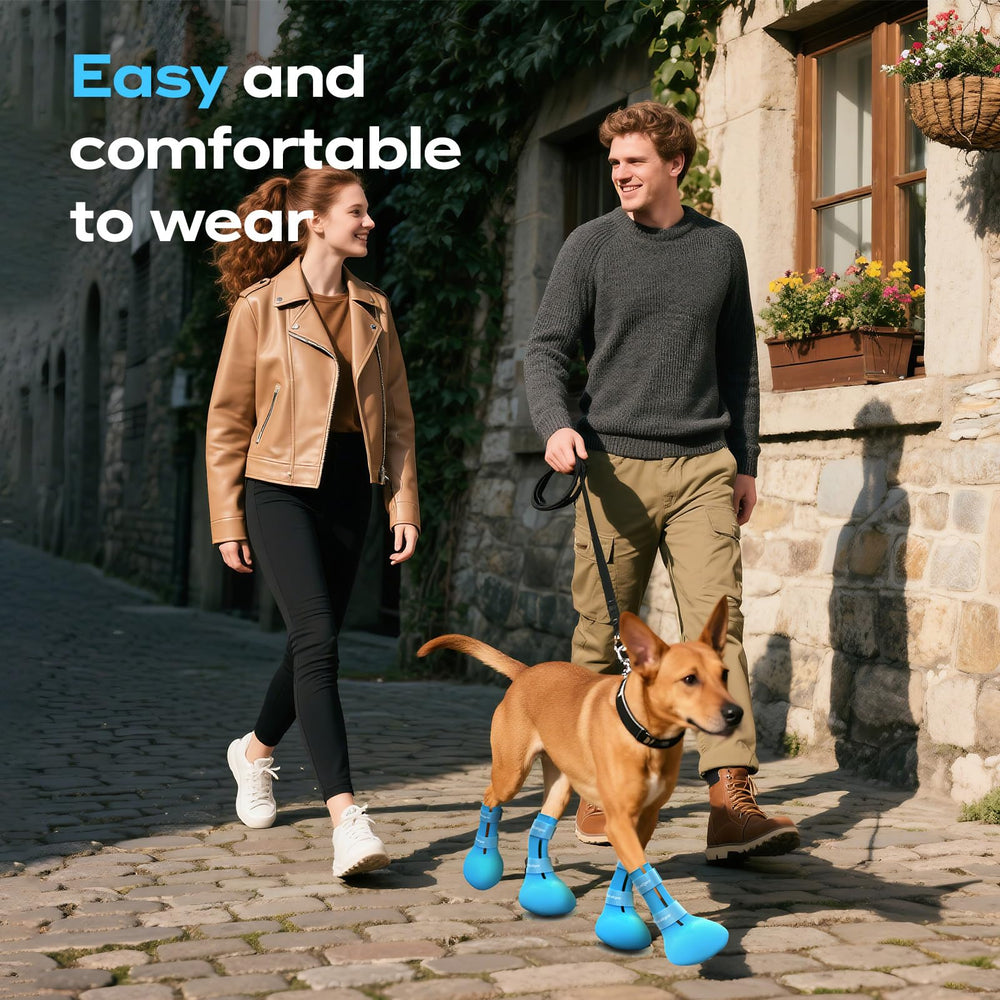 Fdceligoo small-dog-friendly boots fit compact paws for safer training on pavements.