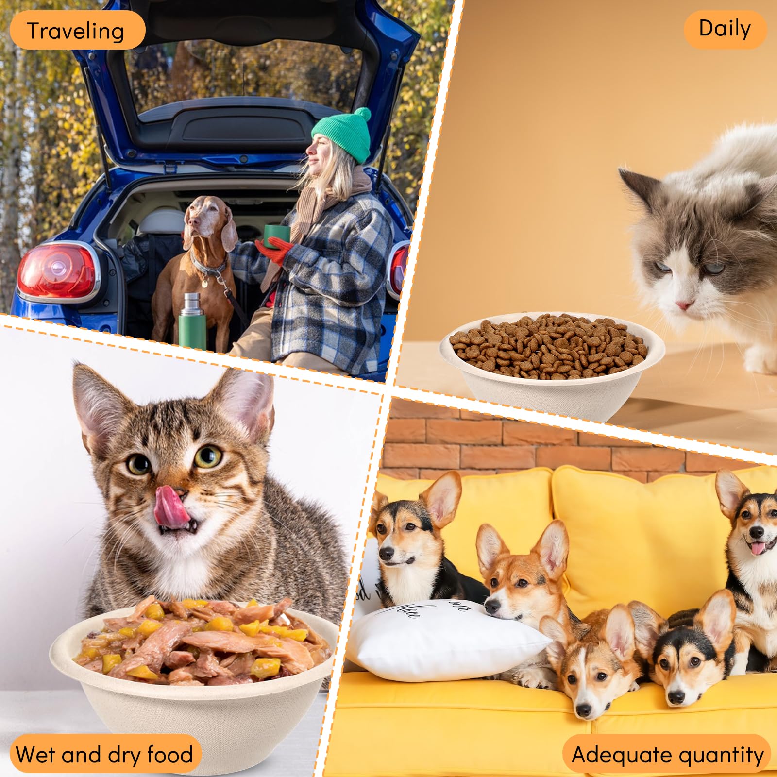 FdcZeyxior travel feeding bowls for on-the-go pets and outdoor meals