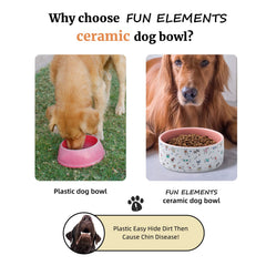 FE FUN ELEMENTS small-dog bowl with durable glaze, dishwasher-safe.