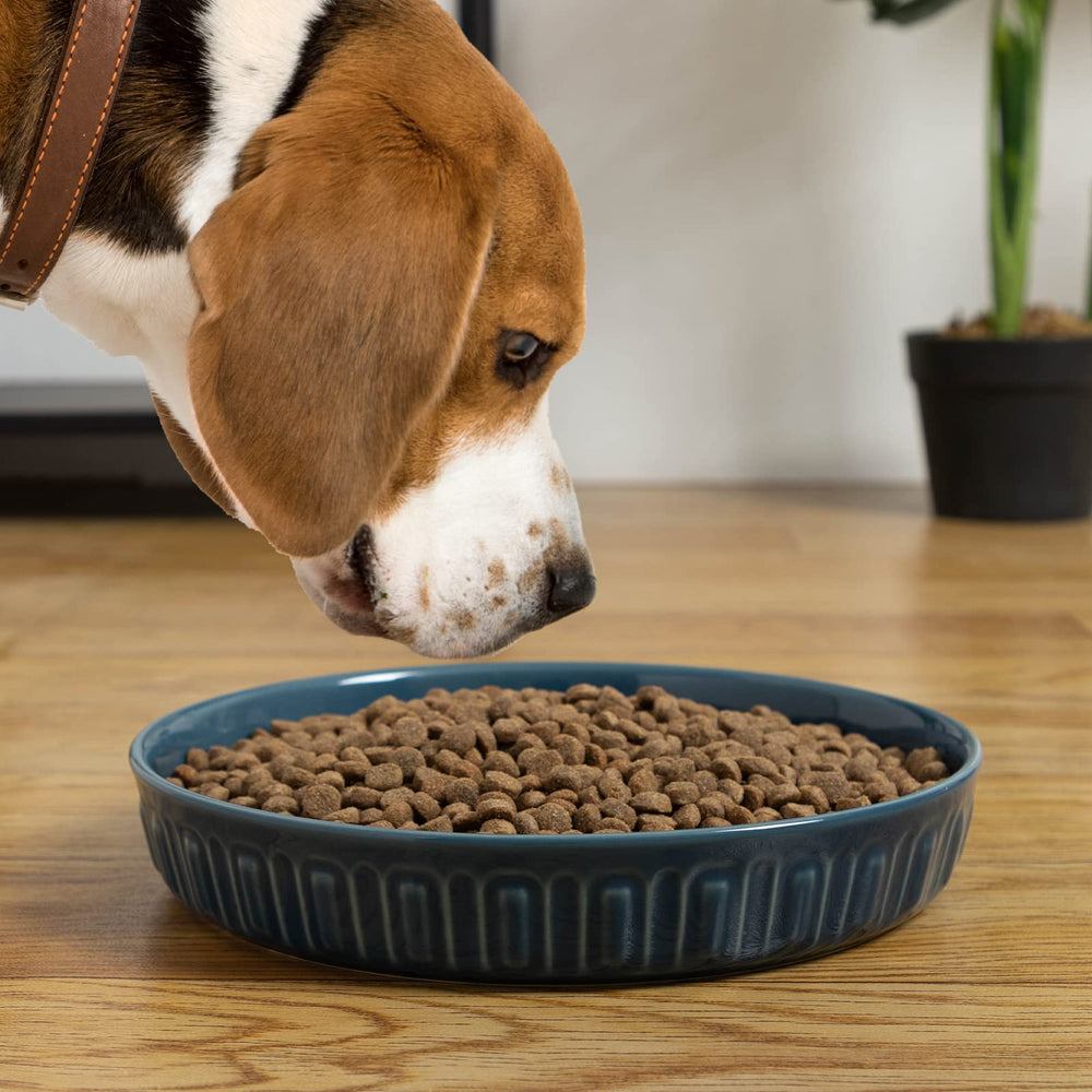 FE Fun Elements blue bowl suitable for dogs cats and birds water