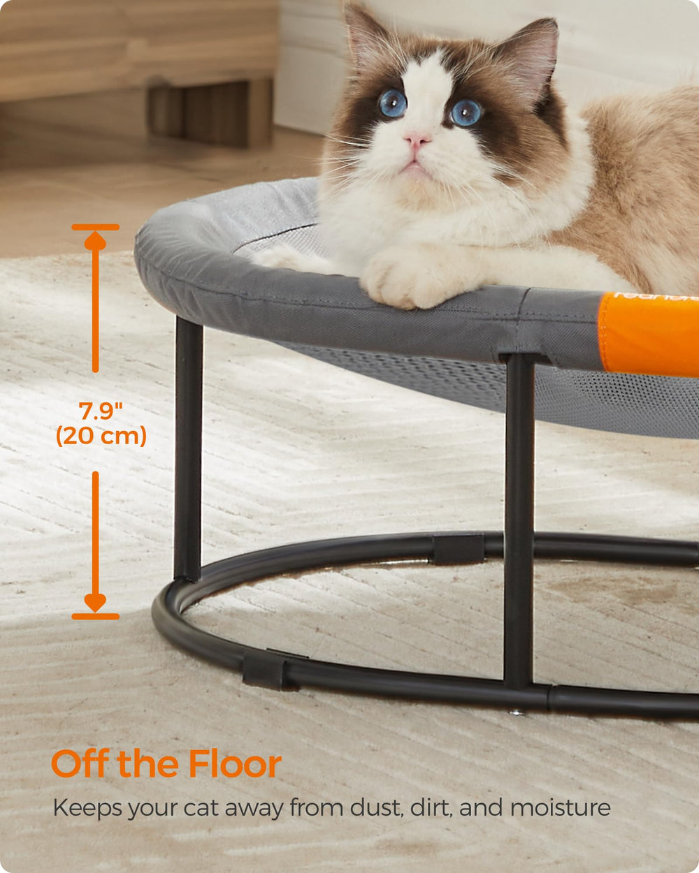 Feandrea pet bed dimensions 24.4l x 16.5w provide roomy lounging.