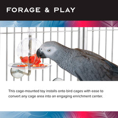 Featherland Paradise Buffet Ball rotation feature promotes mental stimulation during cage-time enrichment.