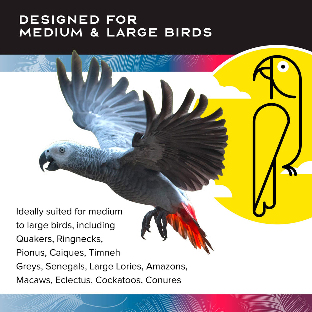 Featherland Paradise foraging system enriches play and physical activity for big birds