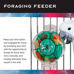 Featherland Paradise Gen II wheel spin demonstrates interactive enrichment during feeding