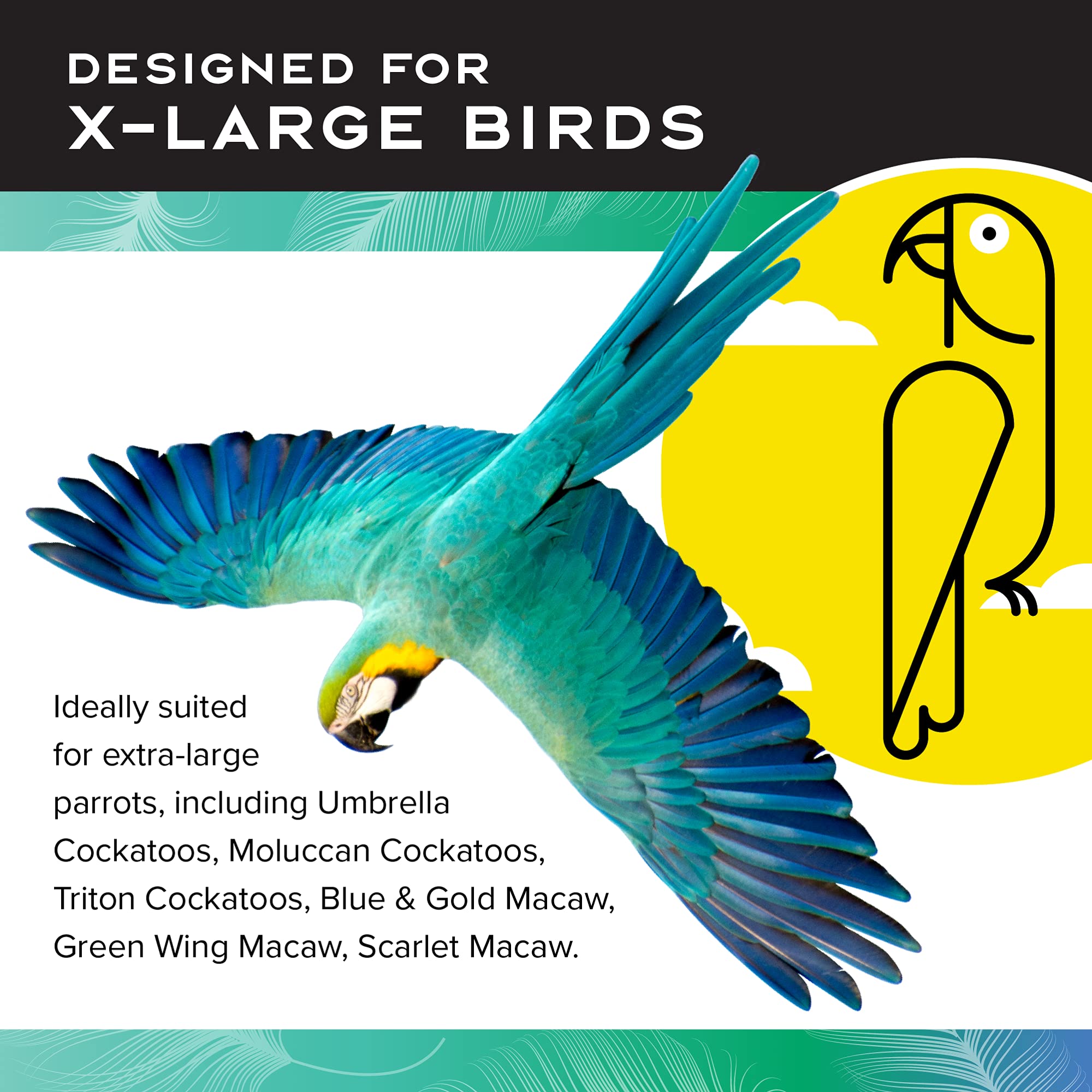 Featherland Paradise Knots N Blocks colorful blocks arrangement for large parrots