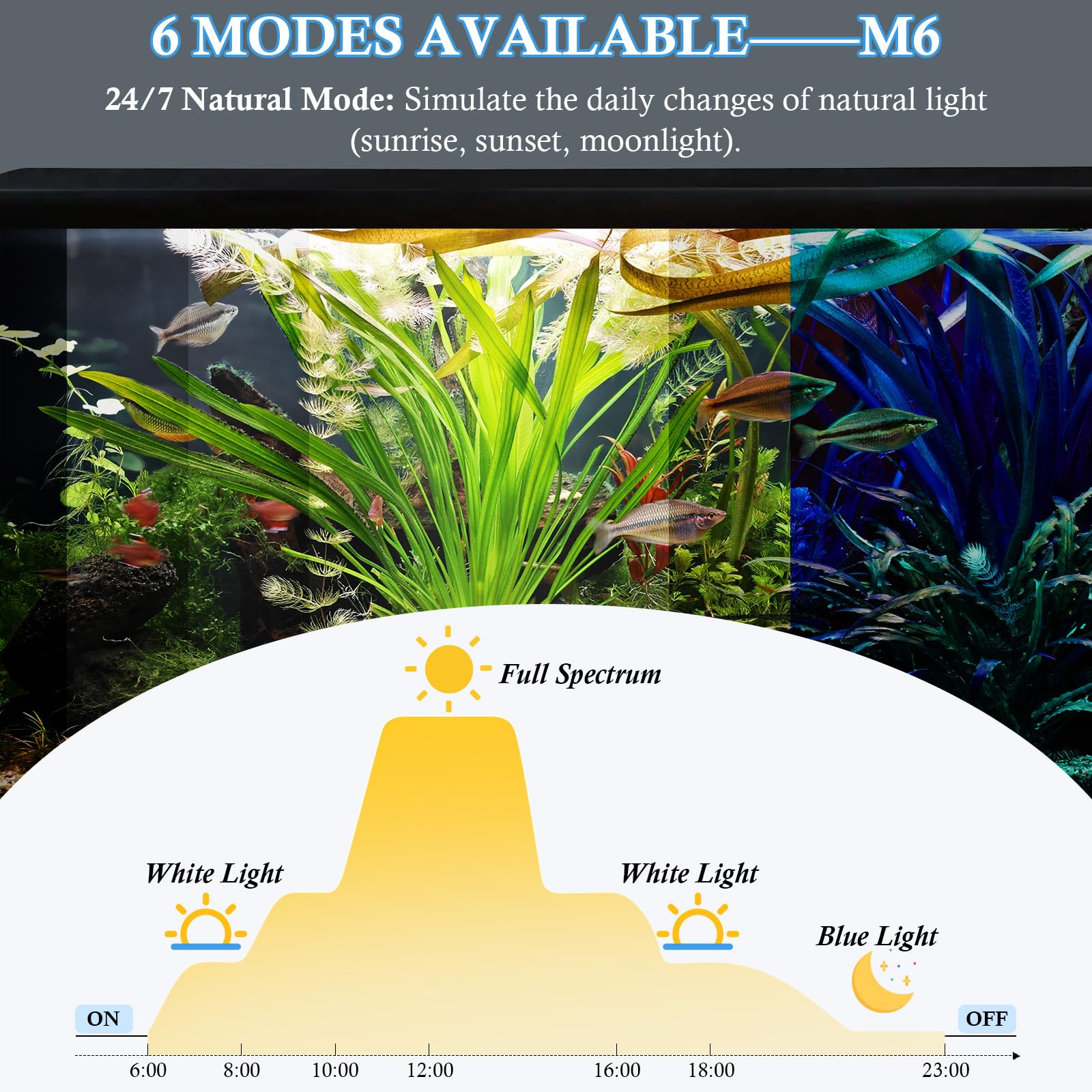 FEDOUR lighting with dimming and timing controls for custom routines