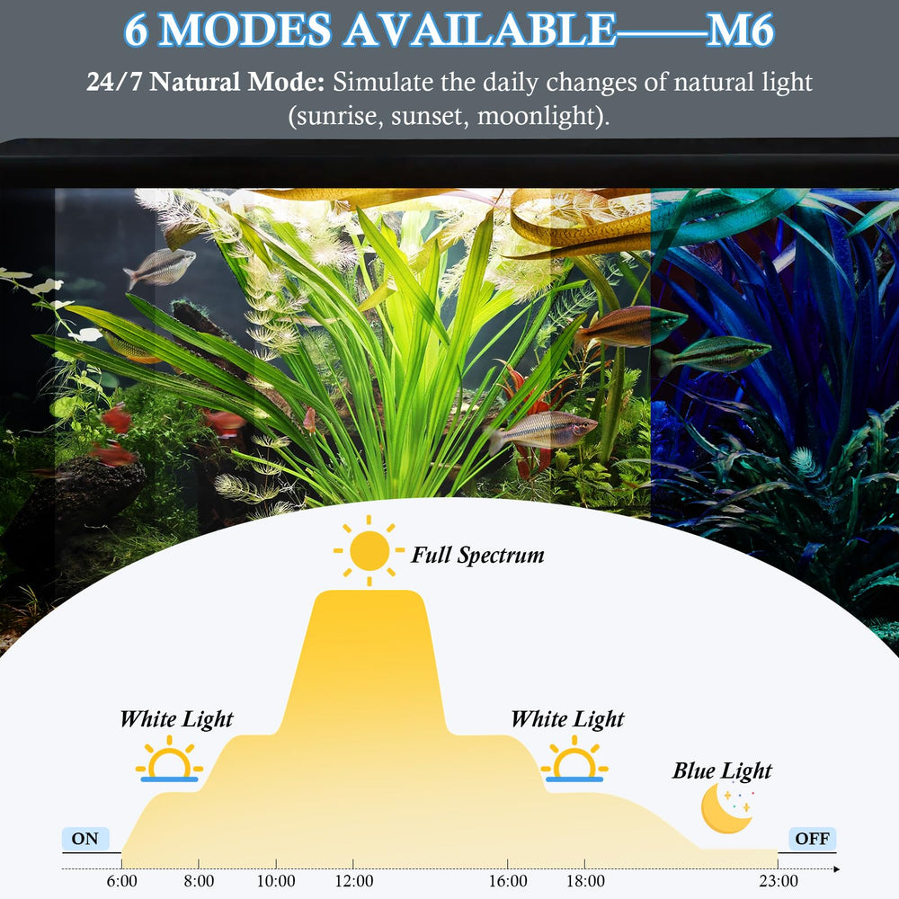 FEDOUR lighting with dimming and timing controls for custom routines