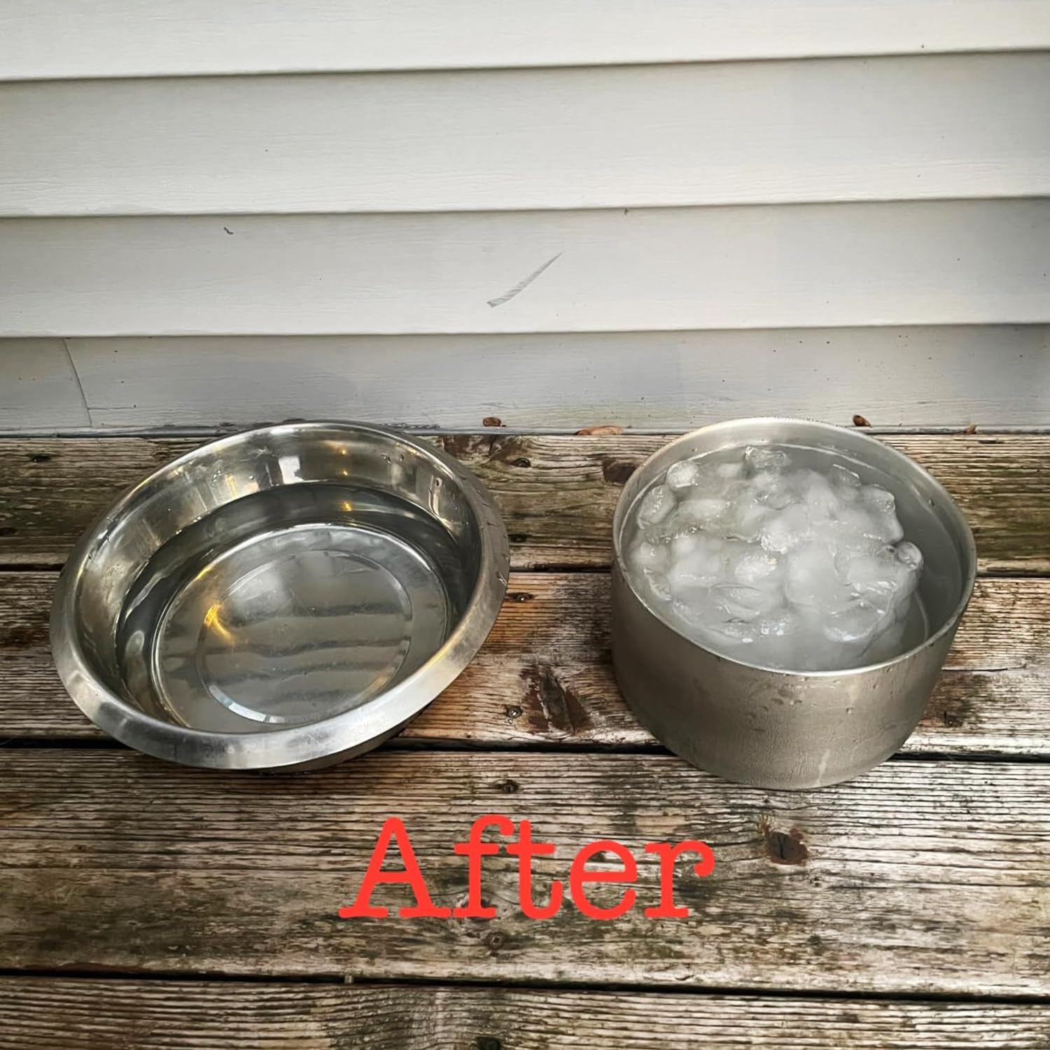 Feedoo 128oz capacity suits large and giant breeds for steady hydration