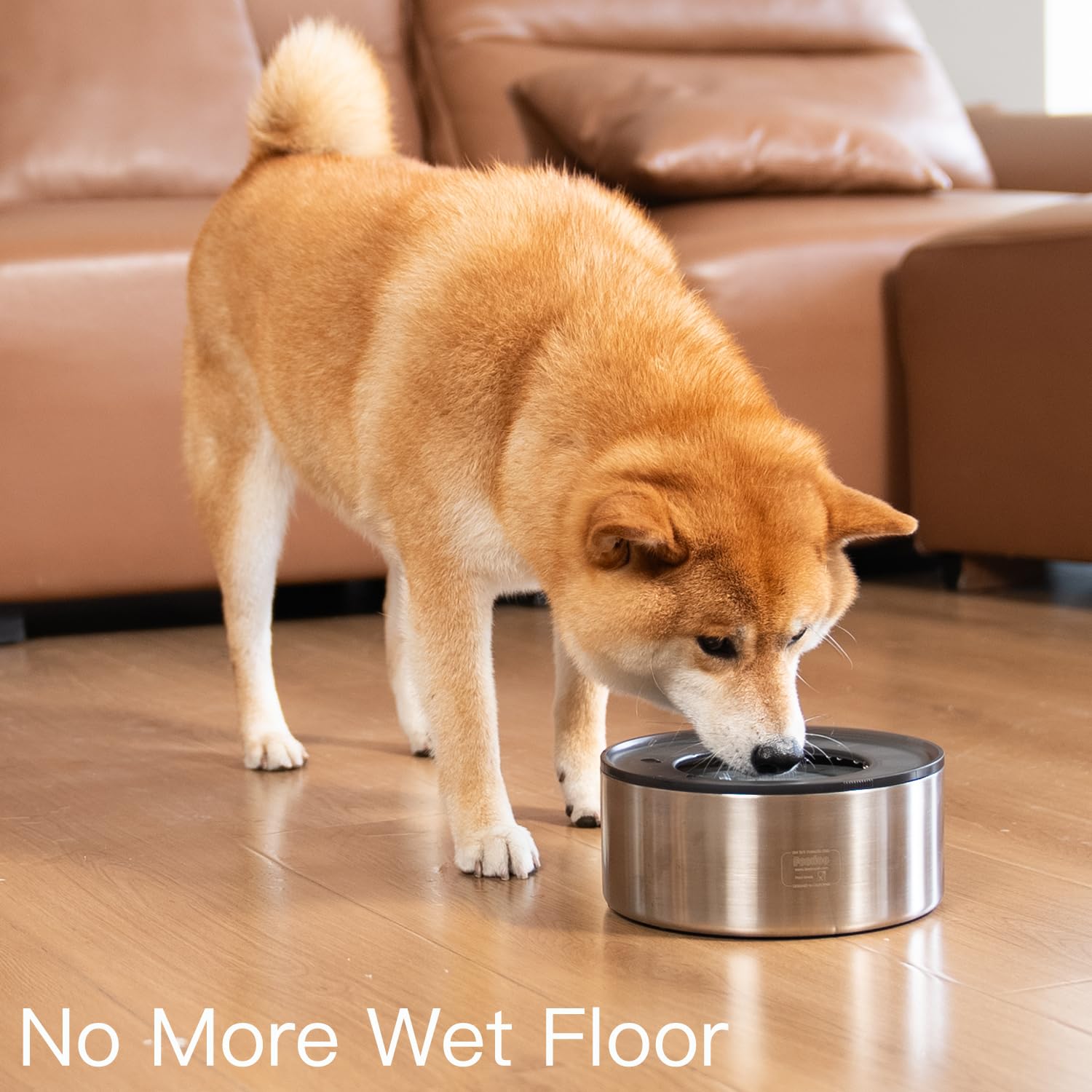 Feedoo bowl for large and multi-pet households showing spacious capacity