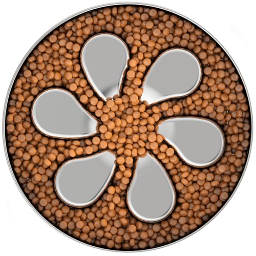 Feedoo large-breed meal setup demonstrates 3-cup capacity and stable dining.