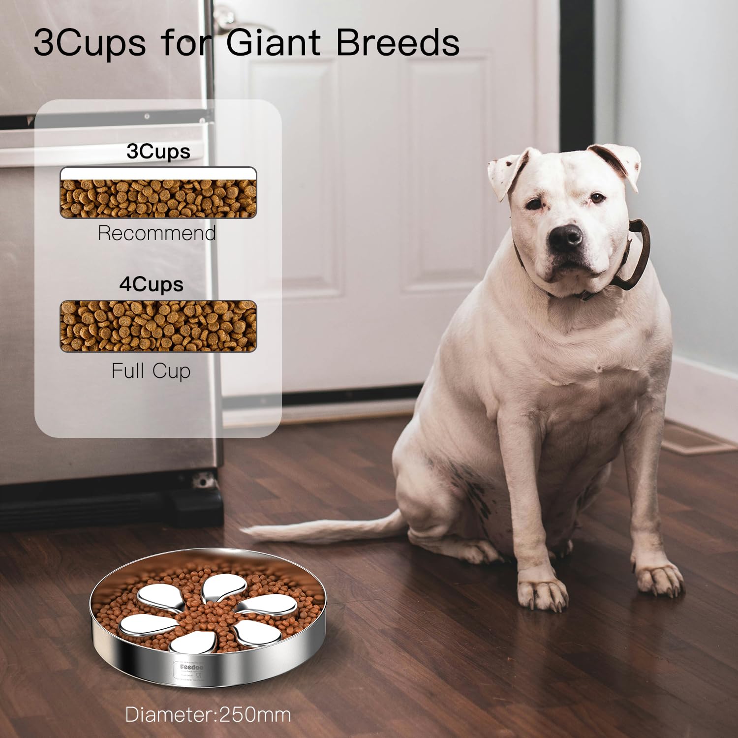 Feedoo large dog bowl 3 cups highlights ample capacity for big breeds.
