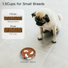 Feedoo Slow Feeder Bowl dual-wall stainless steel durability and rust resistance