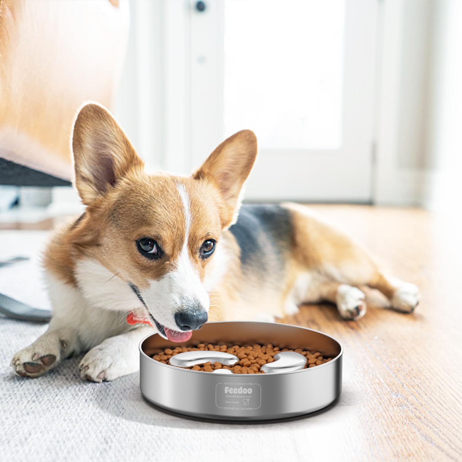 Feedoo Slow Feeder Bowl accommodates kibble and wet food for versatility