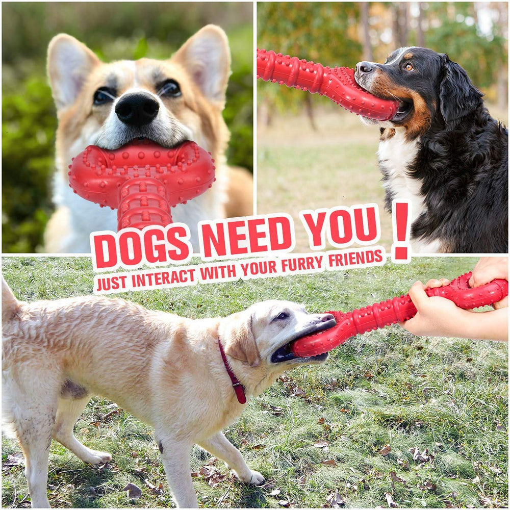 Regalo ideal Feeko para cumpleaños o adopción de perro