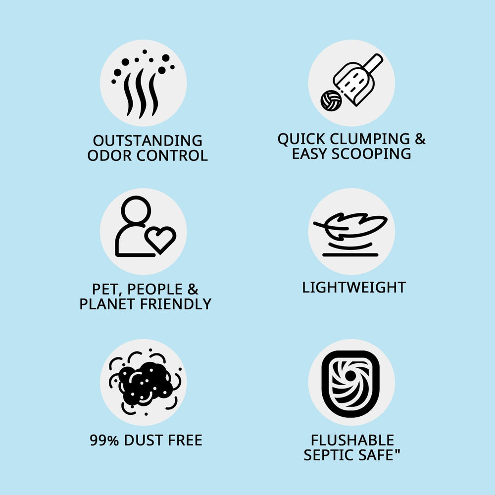 FEELING BEST tofu cat litter multi-cat use demonstrates reliable clumping and odor control
