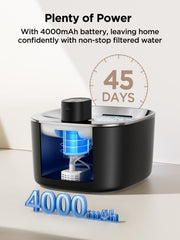 FEELNEEDY motion-sensor activation demonstrates autonomous water flow attracting pets to drink.