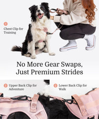 Fei & Eve back-ring offers relaxed, easy walks.