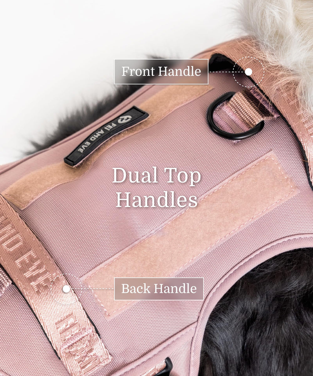 Fei & Eve breathable mesh keeps dogs cool during warm days.