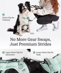 Fei & Eve Classic Harness back ring enables relaxed guided strolls
