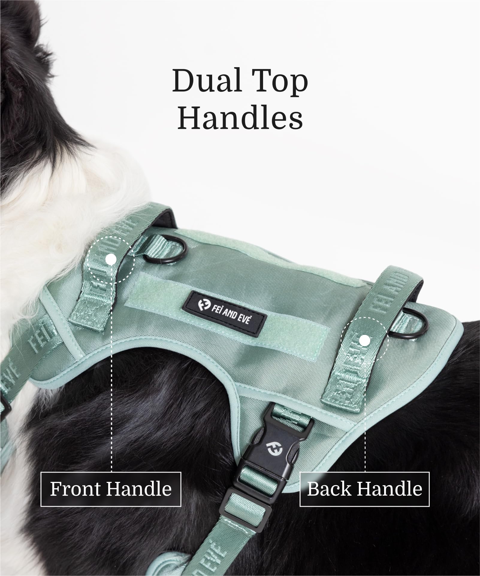 Fei & Eve Classic Harness Molle system for patches or gear