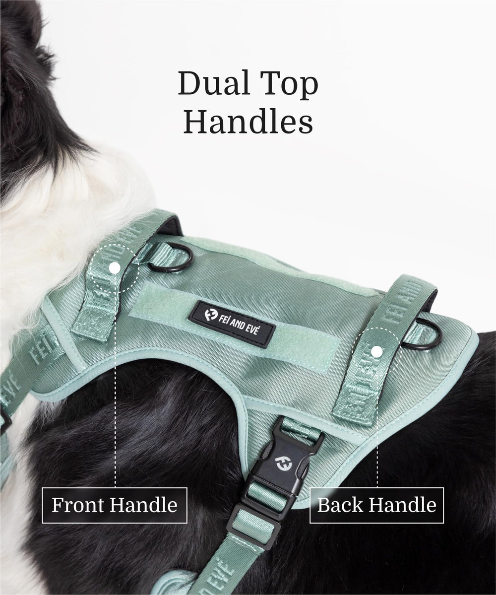 Fei & Eve Classic Harness Molle system for patches or gear