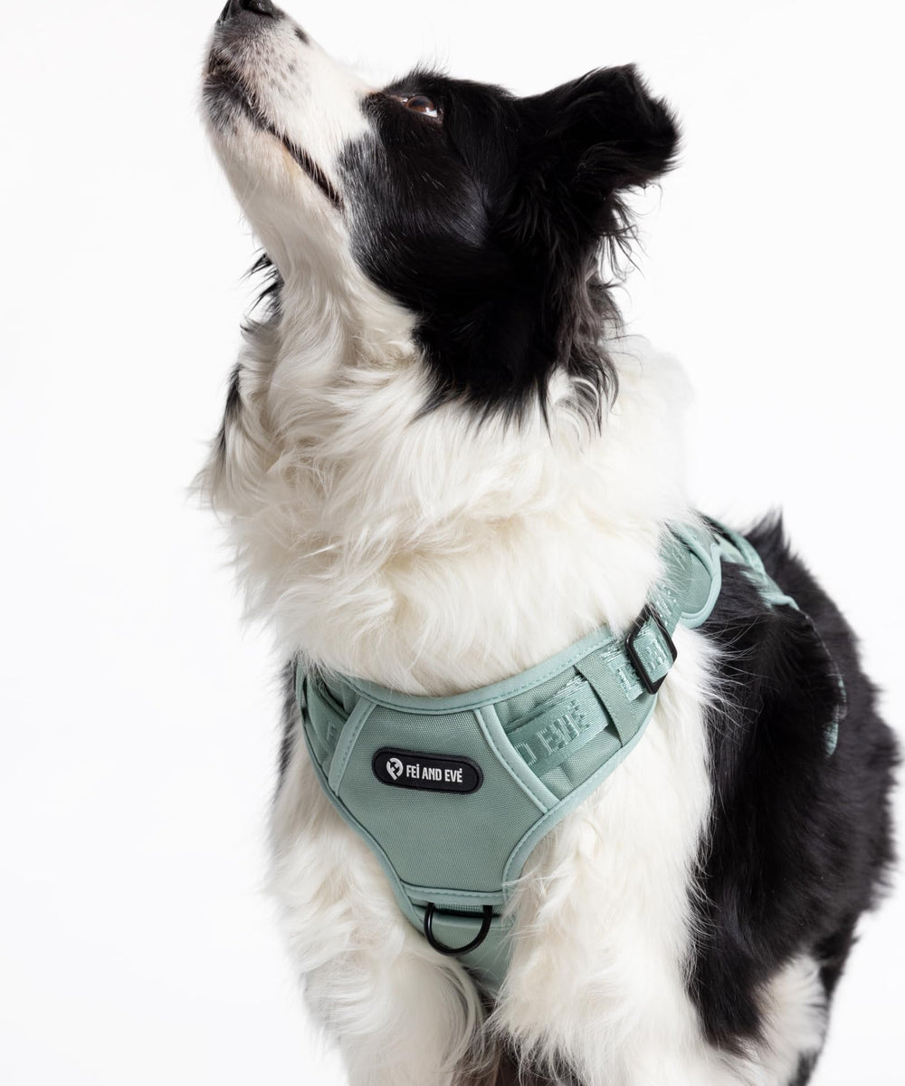Fei & Eve Classic Harness size chart for accurate fitting