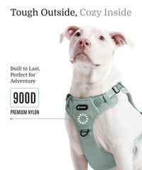 Fei & Eve Classic Harness top hook supports outdoor adventures safely