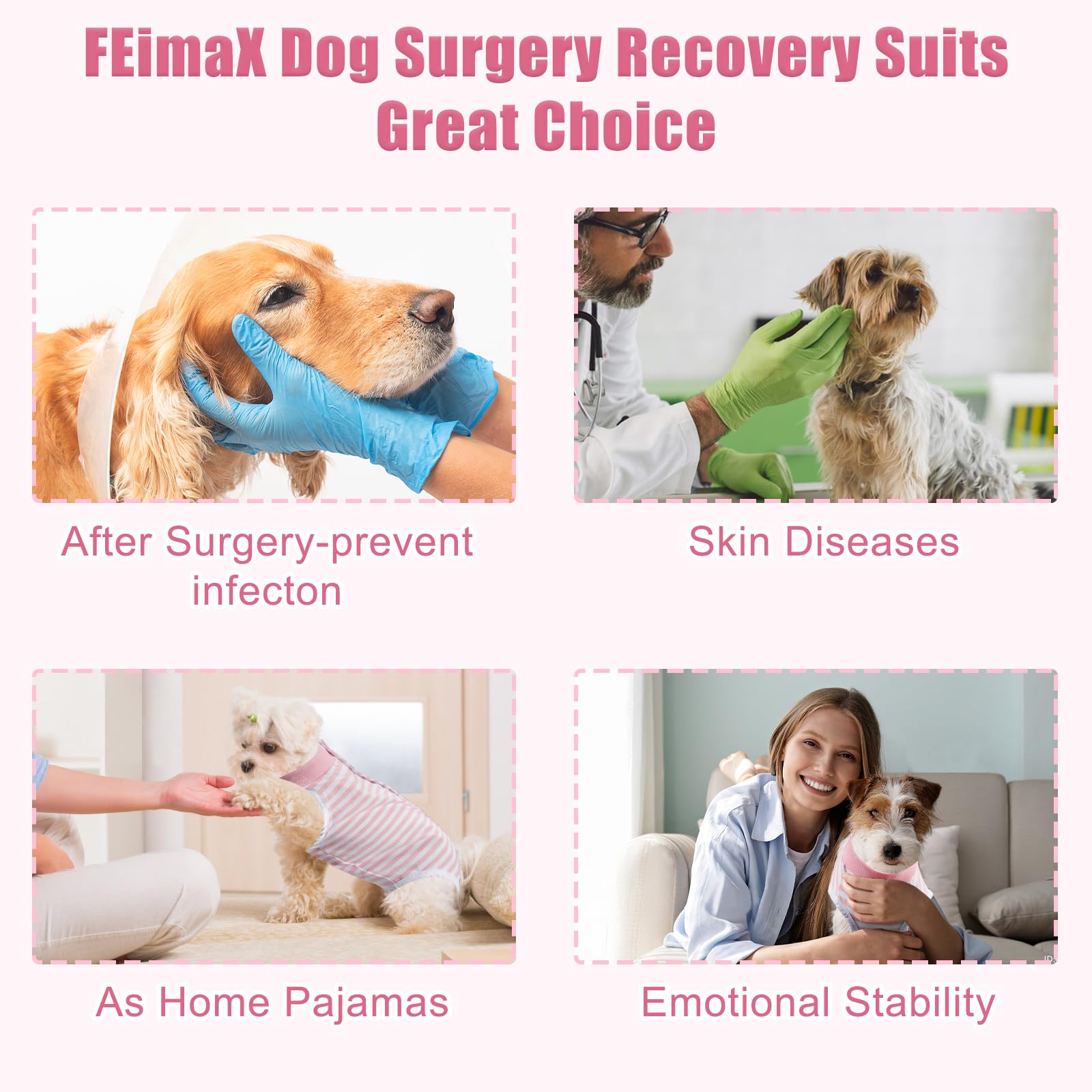 FEimaX recovery suit worn by a dog emphasizes protection without a restrictive collar
