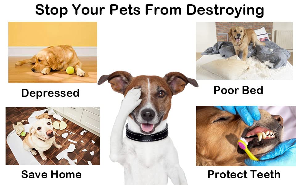 Fejapa interactive-dog-rope-toy-training supports bonding and practice