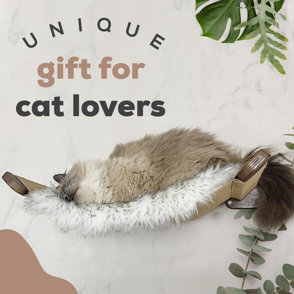FELINE&ME cat perches and two steps support play, climbing, and napping.
